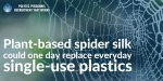 Plant-based-spider-silk-could-one-day-replace-everyday-single-use-plastics.jpeg