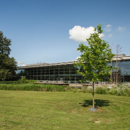 Bruntwood.jpg